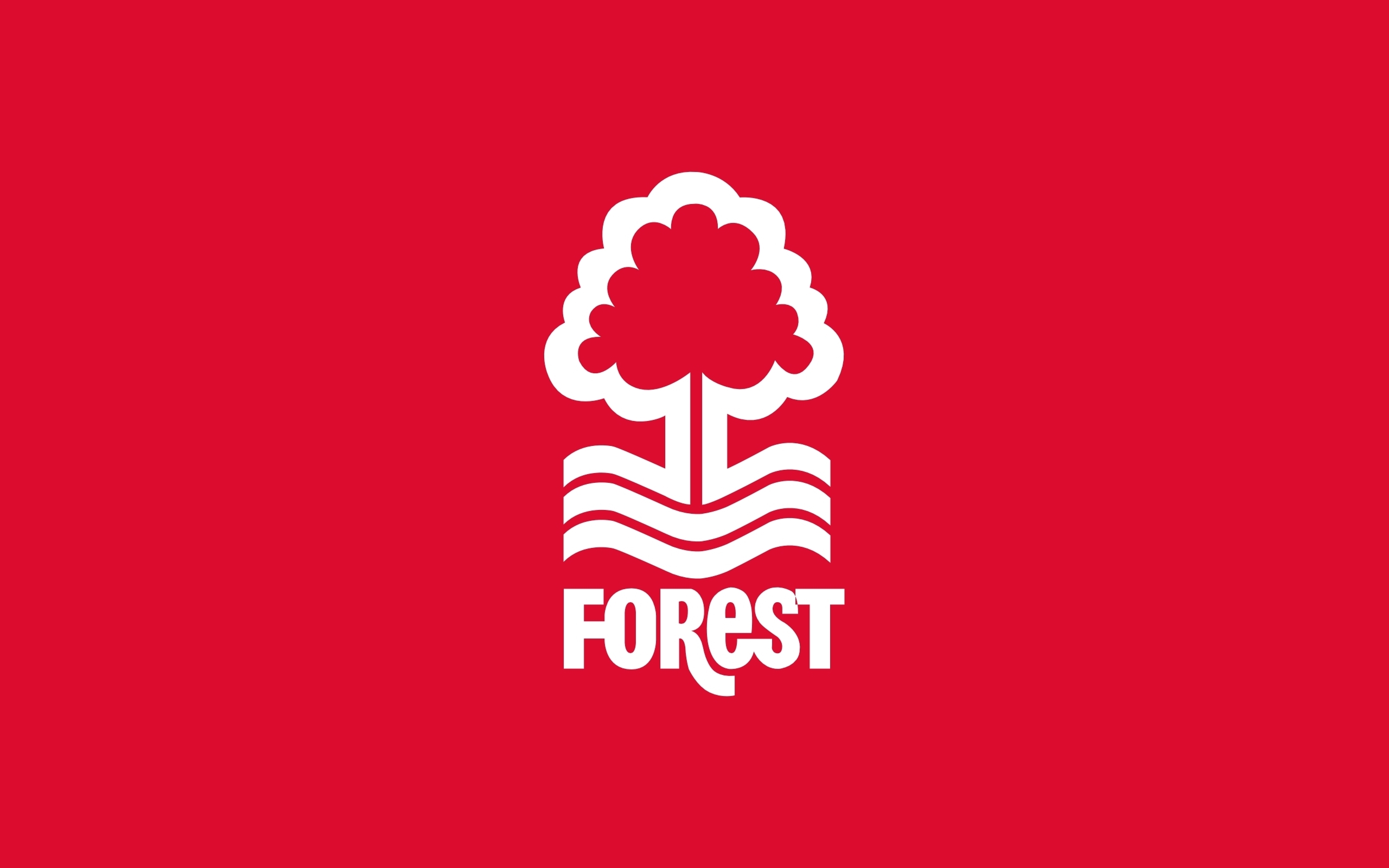 Nottingham Forest Primary logo t shirt iron on transfers